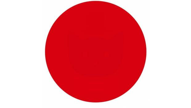 ¿Qué tan buena vista tienes? ¿Qué ves en este círculo rojo? - SDPnoticias.com