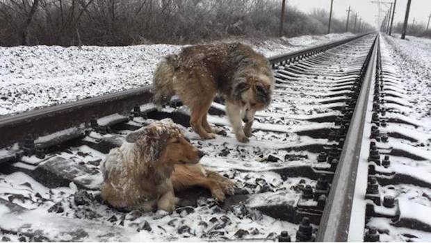 Foto: Денис Малафеев / Facebook.