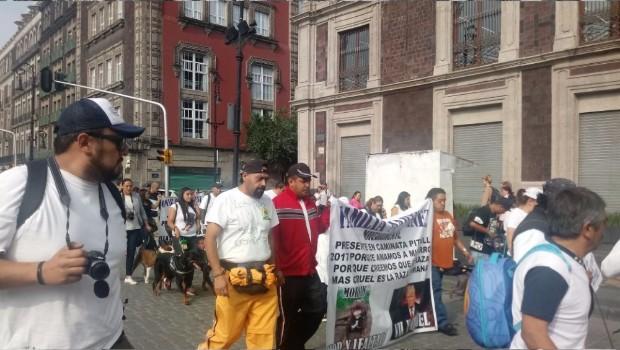 Marcha contra el maltrato a los pitbulls en la CDMX