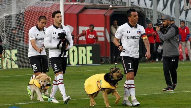 Los jugadores de Colo-Colo con los caninos.