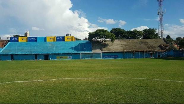 El árbol recibirá, de manera simbólica, un carnet de socio y un jersey  