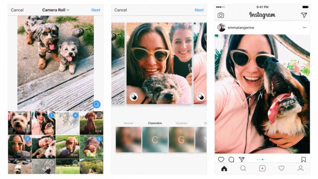 Nuevo formato para las colecciones de imágenes en Instagram.