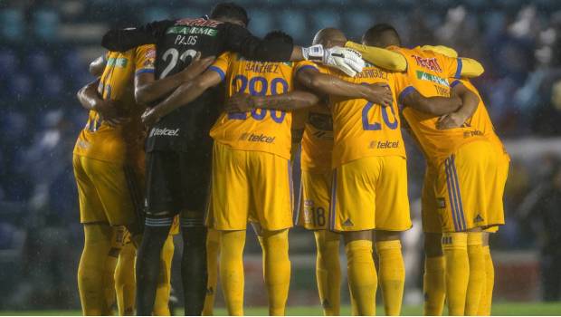 Tigres previo a un partido.