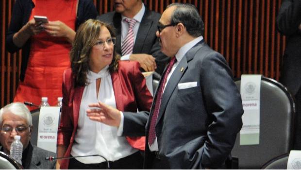 Roció Nahle, coordinadora de los diputados de Morena