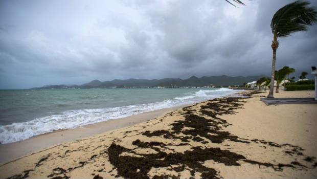 playa Baie Nettle en Marigot, capital de la isla caribeña de Saint-Martín.