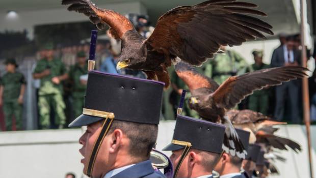 Ensayo del desfile militar. Muestra de las misiones diarias.