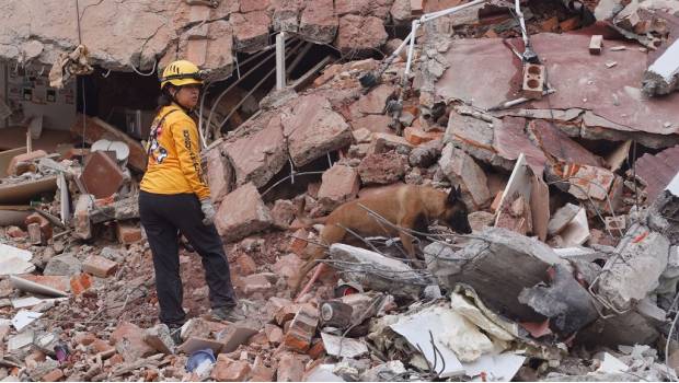 Rescate en Villa Coapa