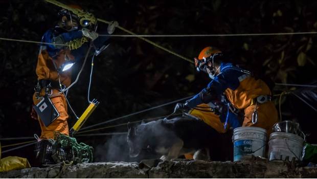 Rescatistas japoneses laborando en escombros de multifamiliar de Tlalpan