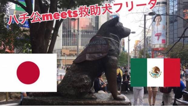 Estatua de 'Hachiko'.