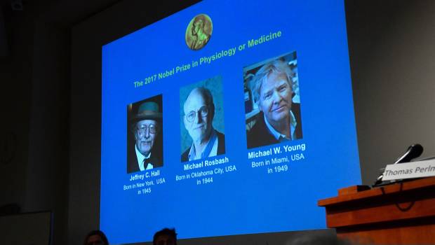 Jeffrey C. Hall, Michael Rosbash y Michael W. Young. Premio Nobel.