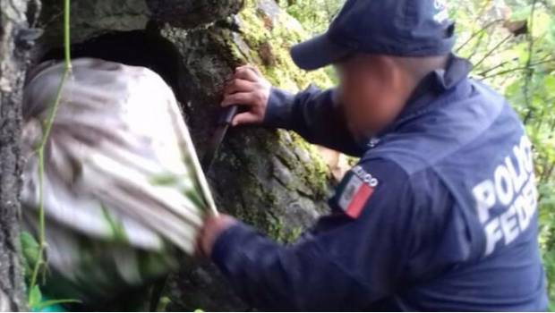 Encuentran en cueva de Guerrero 100 kilos de droga. Noticias en tiempo real