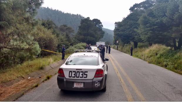 Encuentran 3 cadáveres entre arbustos de la Picacho-Ajusco. Noticias en tiempo real