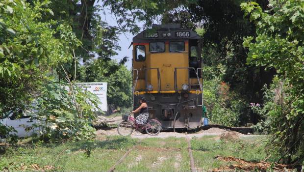 Tren de carga. 5 trenes robados a diarios.