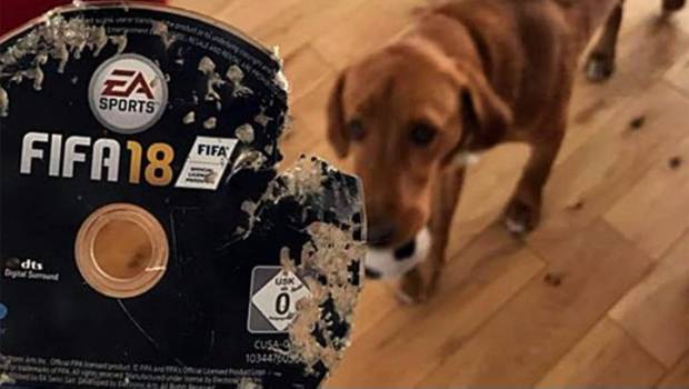 Su perro se come su copia de FIFA 18; Amazon se la repone. Noticias en tiempo real