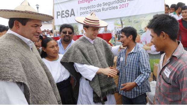 En Chiapas refuerzan con insumos las actividades agrícolas tras sismo. Noticias en tiempo real