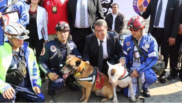 Brigada Canina de Rescate K9