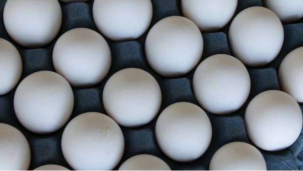 Toda la vida has guardado mal los huevos: Experta. Noticias en tiempo real
