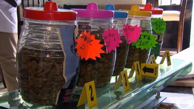 Autoridades capitalinas revientan “tiendita” en Tepito; vendían marihuana de sabores. Noticias en tiempo real