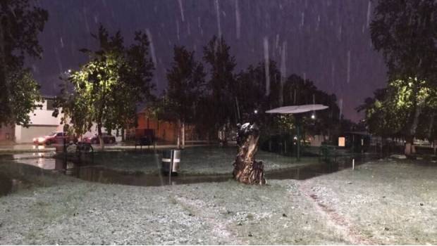 Reportan primeras nevadas de la temporada en Chihuahua y Coahuila. Noticias en tiempo real