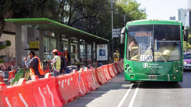 Comienza reforestación por construcción de L7 del Metrobús. Noticias en tiempo real