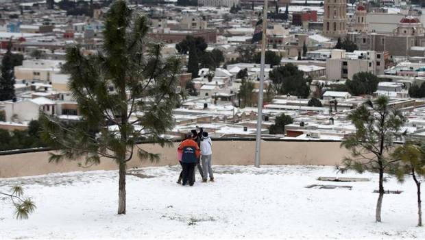 Segob emite Declaratoria de Emergencia en 5 municipios de Coahuila por heladas severas. Noticias en tiempo real