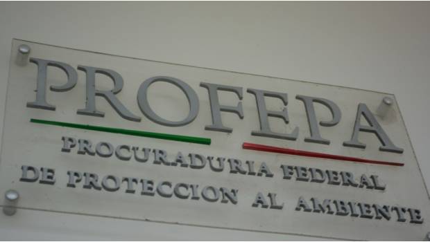 Clausura Profepa empresa en Nuevo León. Noticias en tiempo real