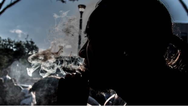 Mariguana y cocaína se riegan por todo México. Noticias en tiempo real