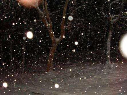 Si tú sientes frío, imagínate Cuajimalpa... Reportan caída de nieve y aguanieve Si tú sientes frío, imagínate Cuajimalpa... Reportan caída de nieve y aguanieve