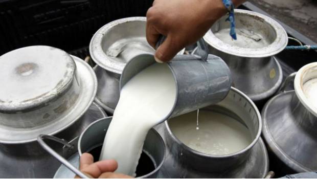 Productores de leche advierten bloqueos carreteros en Veracruz y otros estados. Noticias en tiempo real