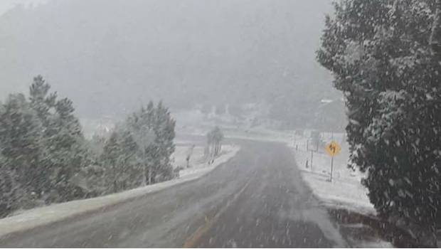 Nieva en 8 municipios de Chihuahua por tormenta invernal. Noticias en tiempo real