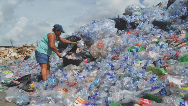 Proponen crear un impuesto ambiental al PET. Noticias en tiempo real