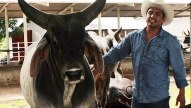 Acusan a Julión Álvarez de esconder ganado adquirido ilegalmente por exgobernadores de Chihuahua y Nayarit. Noticias en tiempo real