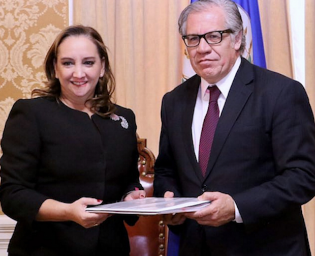 PRI pide a OEA difundir acusaciones contra candidato opositor PRI pide a OEA difundir acusaciones contra candidato opositor