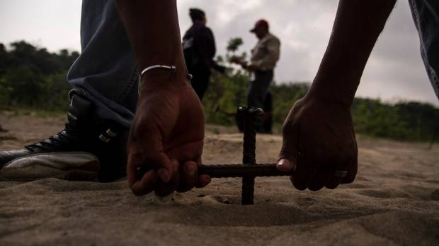 Suman 149 fosas encontradas por colectivos en Veracruz, señalan. Noticias en tiempo real