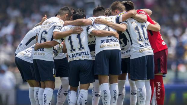 Pumas jugará Liguilla tras empatar con Gallos; enfrentará al América (VIDEO). Noticias en tiempo real