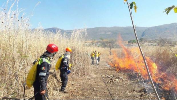 Reconocen a brigadistas que combaten incendios forestales en Chiapas. Noticias en tiempo real