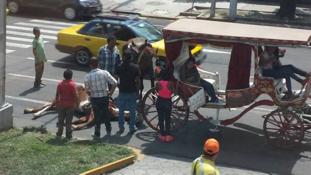 Entran en servicio calandrias sin caballos en Guadalajara. Noticias en tiempo real