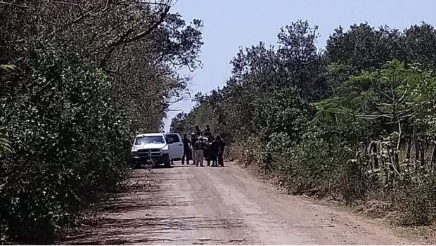 Localizan Rastreadoras 4 cuerpos en el norte de Sinaloa. Noticias en tiempo real