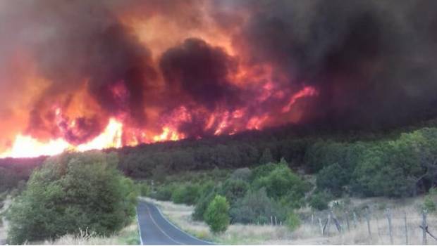 Activa Facebook ‘safety check in’ por incendio forestal en Arteaga. Noticias en tiempo real