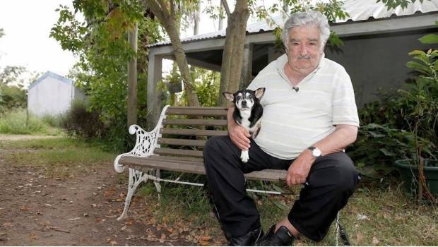 Muere Manuela la inseparable mascota de José Mujica. Noticias en tiempo real