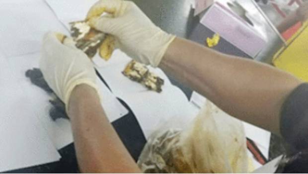 Hallan heroína y marihuana ocultas en bolsas de mole en Querétaro. Noticias en tiempo real