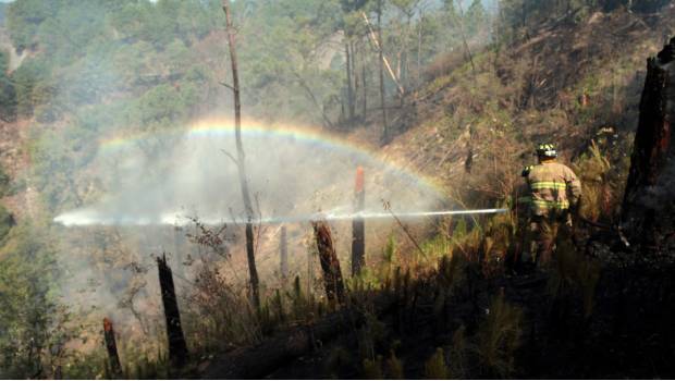 Registra Jalisco 387 incendios forestales en lo que va del año. Noticias en tiempo real