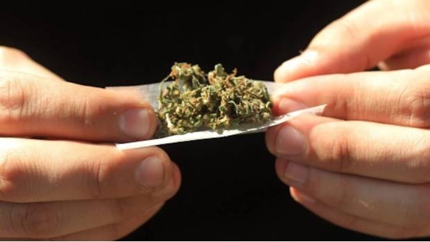 Asegura PGR casi media toneladas de marihuana en operativo en NL. Noticias en tiempo real