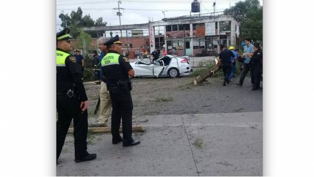 Muere automovilista por caída de árbol en Ecatepec. Noticias en tiempo real