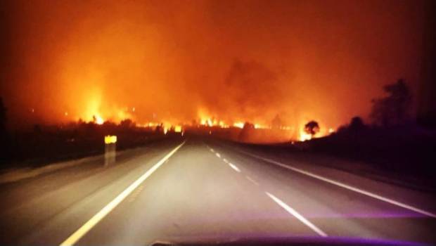 Declaran estado de emergencia por incendios forestales en California. Noticias en tiempo real