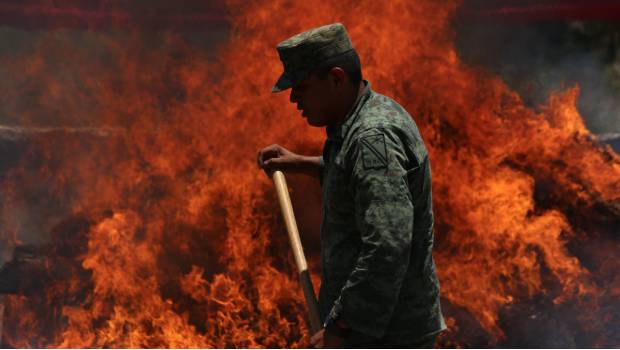 Destruye PGR 380 kilos de cocaína en Guanajuato. Noticias en tiempo real