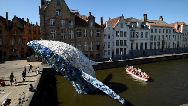 Encallan 5 toneladas de plástico en canal de Bélgica. Noticias en tiempo real