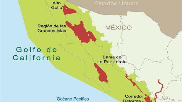 Preocupa a  pescadores la Reserva de la Biosfera Mar de Cortés y Pacífico. Noticias en tiempo real