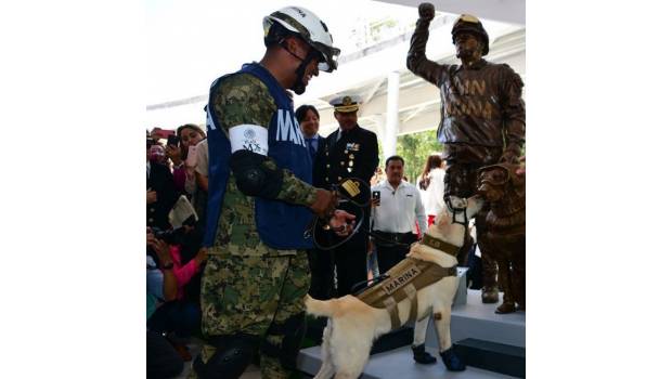 Develan estatua de Frida, la perrita rescatista del 19S, en Puebla. Noticias en tiempo real