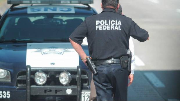 Fuerzas federales aseguran armas, droga y vehículos en Tamaulipas. Noticias en tiempo real